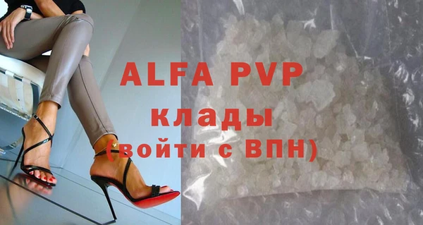 спайс Бородино