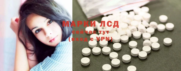 спайс Бородино