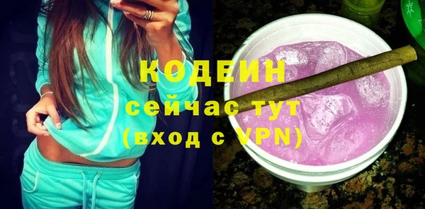 метадон Богданович