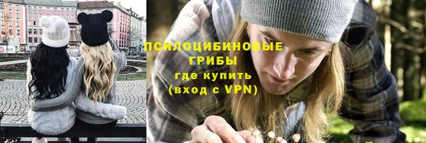 дмт Богородицк