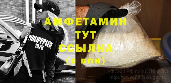 метадон Богданович