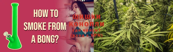 метадон Богданович